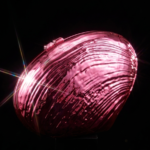 The Aphrodite Chrome Shell Clutch